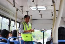 anamedeiro99 s transformative adventure