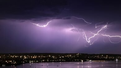 crafting with thunderonthegulf