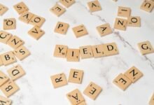 best dividend stocks guide