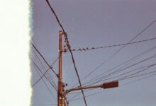 support line available now