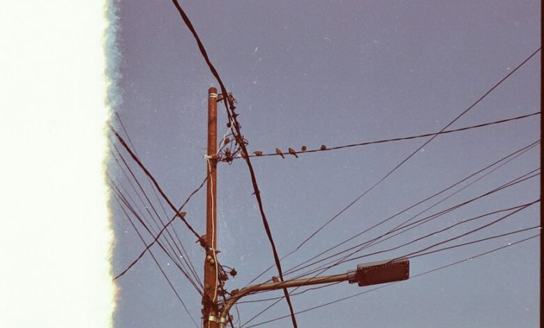 support line for inquiries