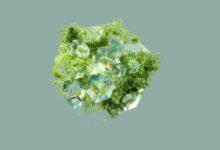 data integrity overview summary