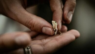 system level metric interaction analysis