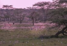 cosmic journey through dimensions