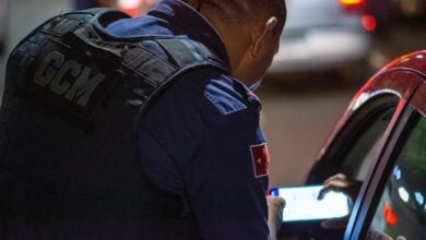 digital authority growth guide milestone