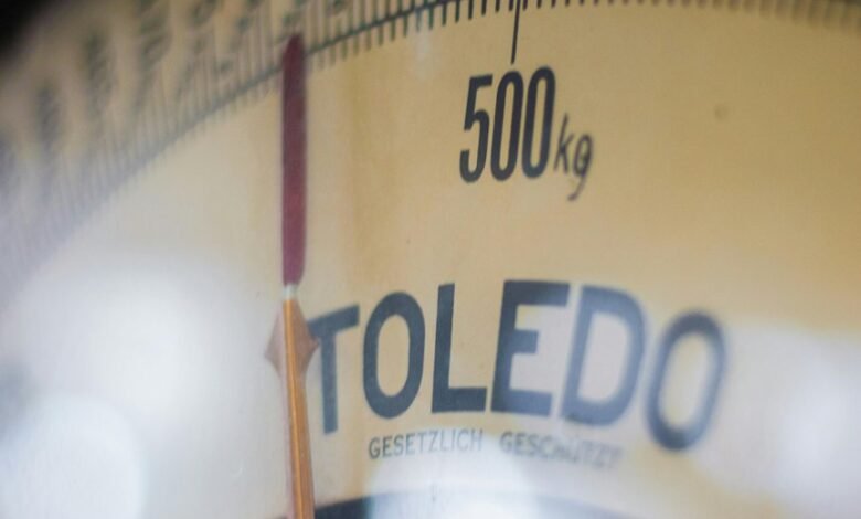 digital scaling growth system