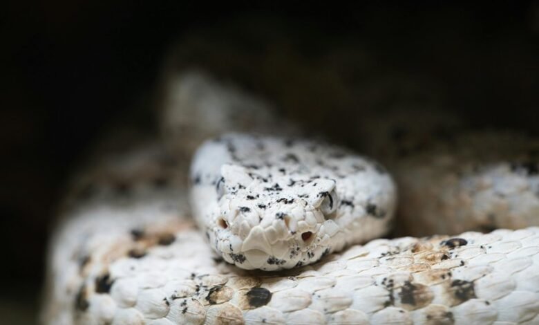 online scaling growth guide