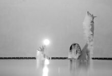 performance flow analysis tool