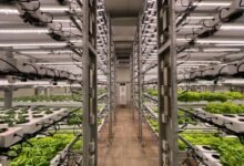 unlock creative growth strategies