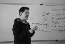 multilingual record analysis identifiers
