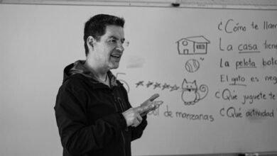 multilingual record analysis identifiers