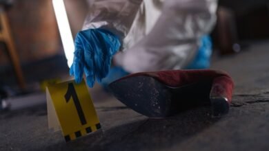 browse numbers registry evidence