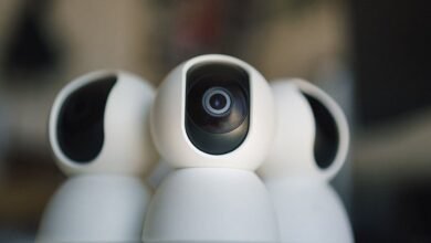 ip ownership and security lookup details