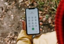 list of numerous phone numbers