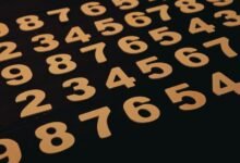 list of phone numbers provided