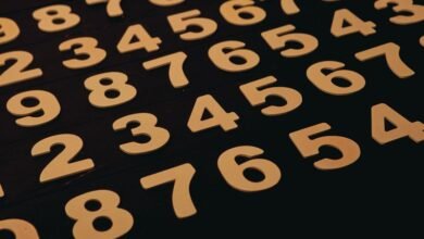 phone numbers list provided