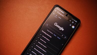 phone records and caller findings summary