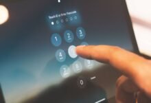 public lookup five phone numbers