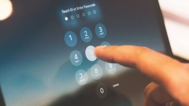 public lookup five phone numbers