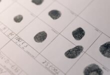 public registry numbers and details