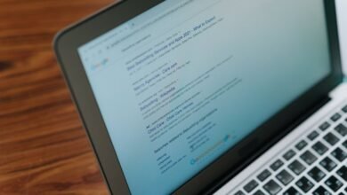 registry lookup results for specific numbers