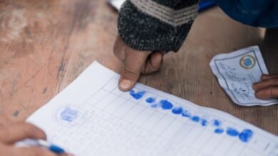 registry numbers findings for five ids
