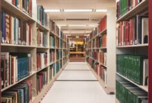 review registry sources identifiers listed