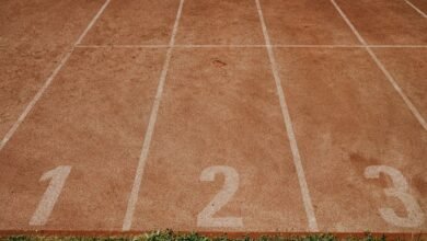 track numbers show search evidence details