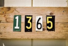verified registry ids and details enumerated